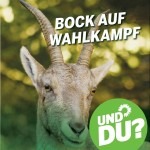 Klargestellt – Gerüchte über grüne Politik