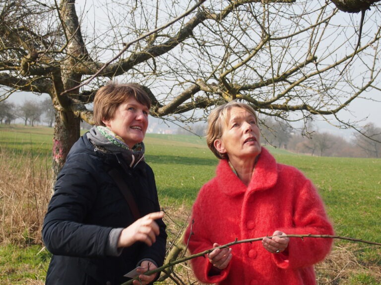 Charlotte Schneidewind-Hartnagel: „Ökologie, Heimat und Genuss in einer Hand“ – Förderprogramm für Baumschnitt startet