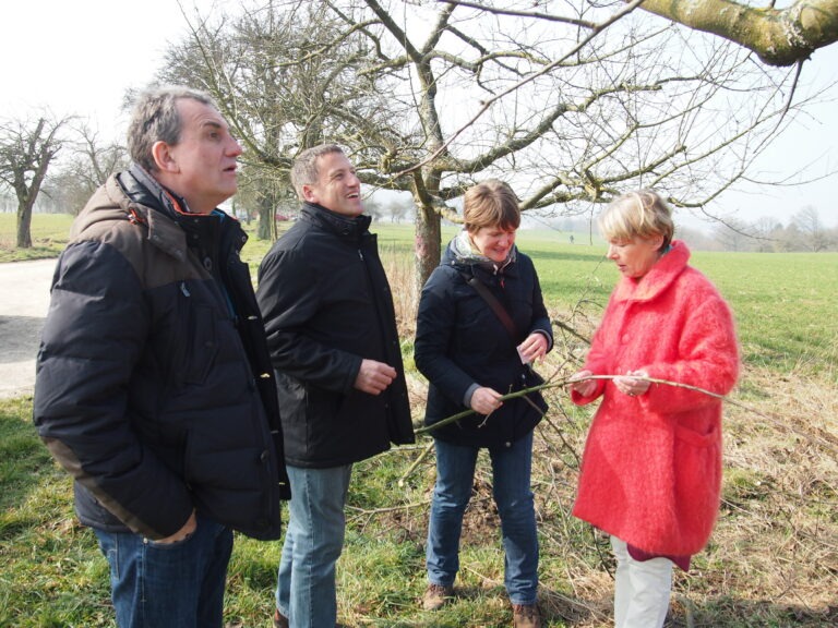 Grün-Rot stärkt Streuobstbau