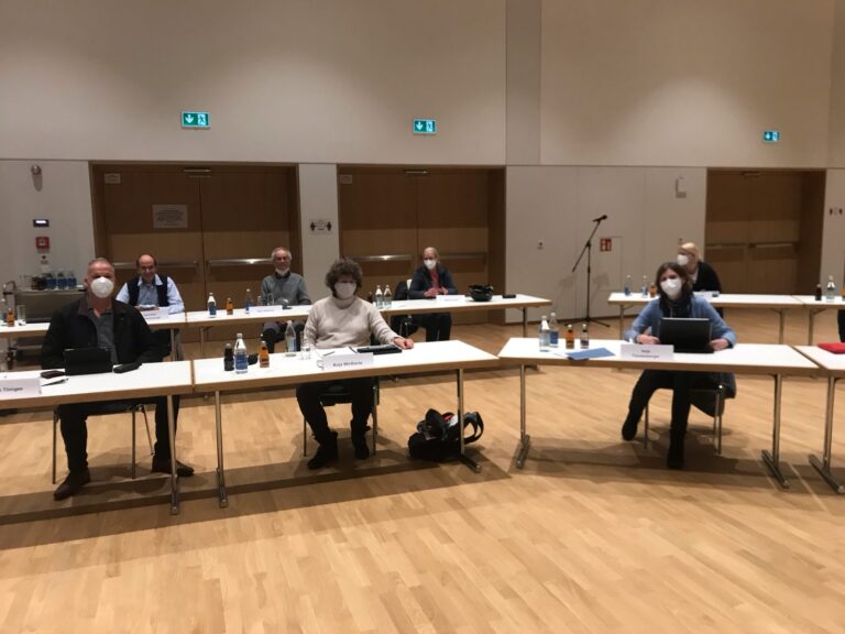 Entscheidung über Karlsplatz-Antrag in der Gemeinderatsitzung 23.02.2021, Anja Fürstenberger