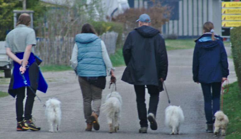 Antrag Befreiung Hundesteuer